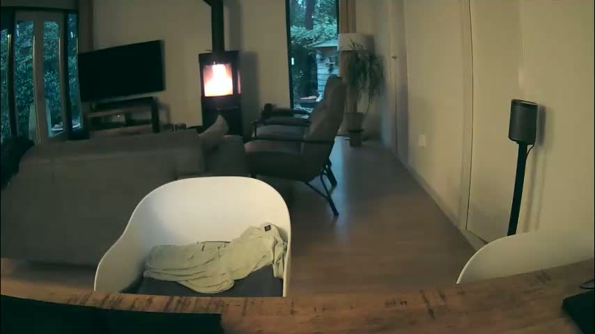 woodwurm Приват Записи 2026-02-16