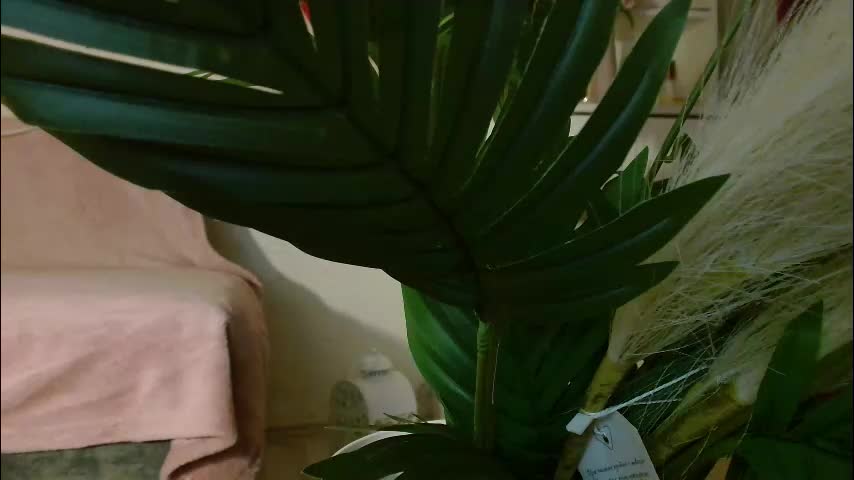 imcarrieberry Приват Записи 2026-02-16