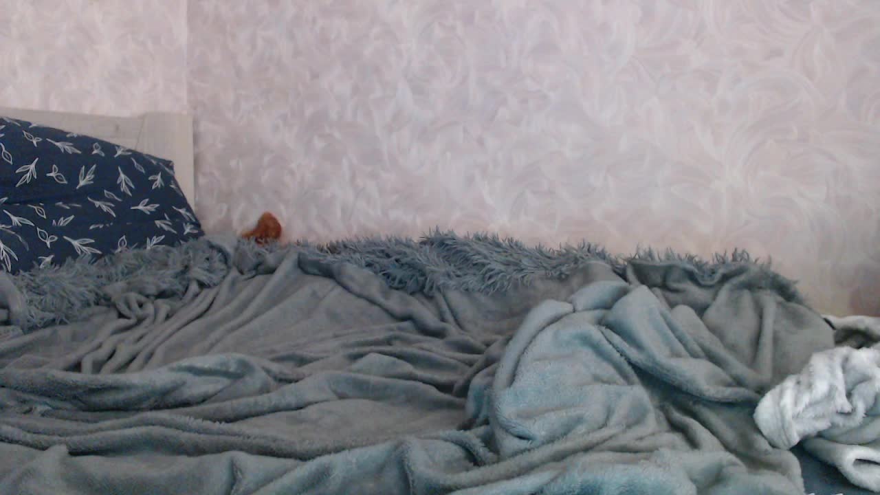 kotenokkkk Приват Записи 2026-02-17