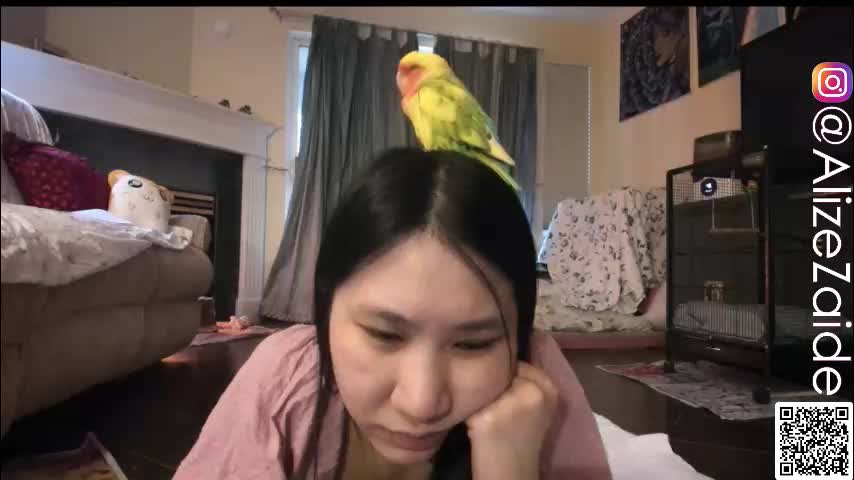 alizezaide Приват Записи 2026-02-17