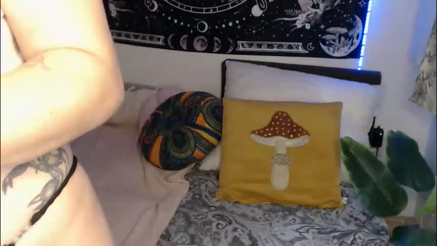 aliens4twenty Приват Записи 2026-02-17