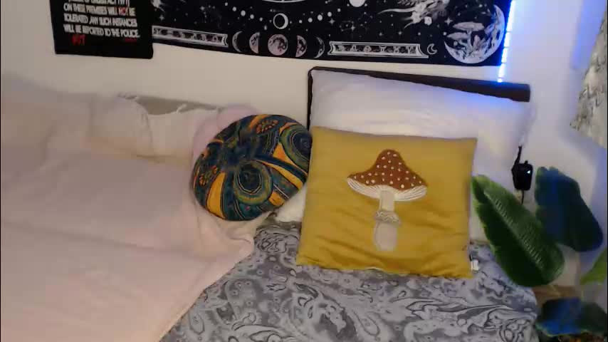 aliens4twenty Приват Записи 2026-02-17