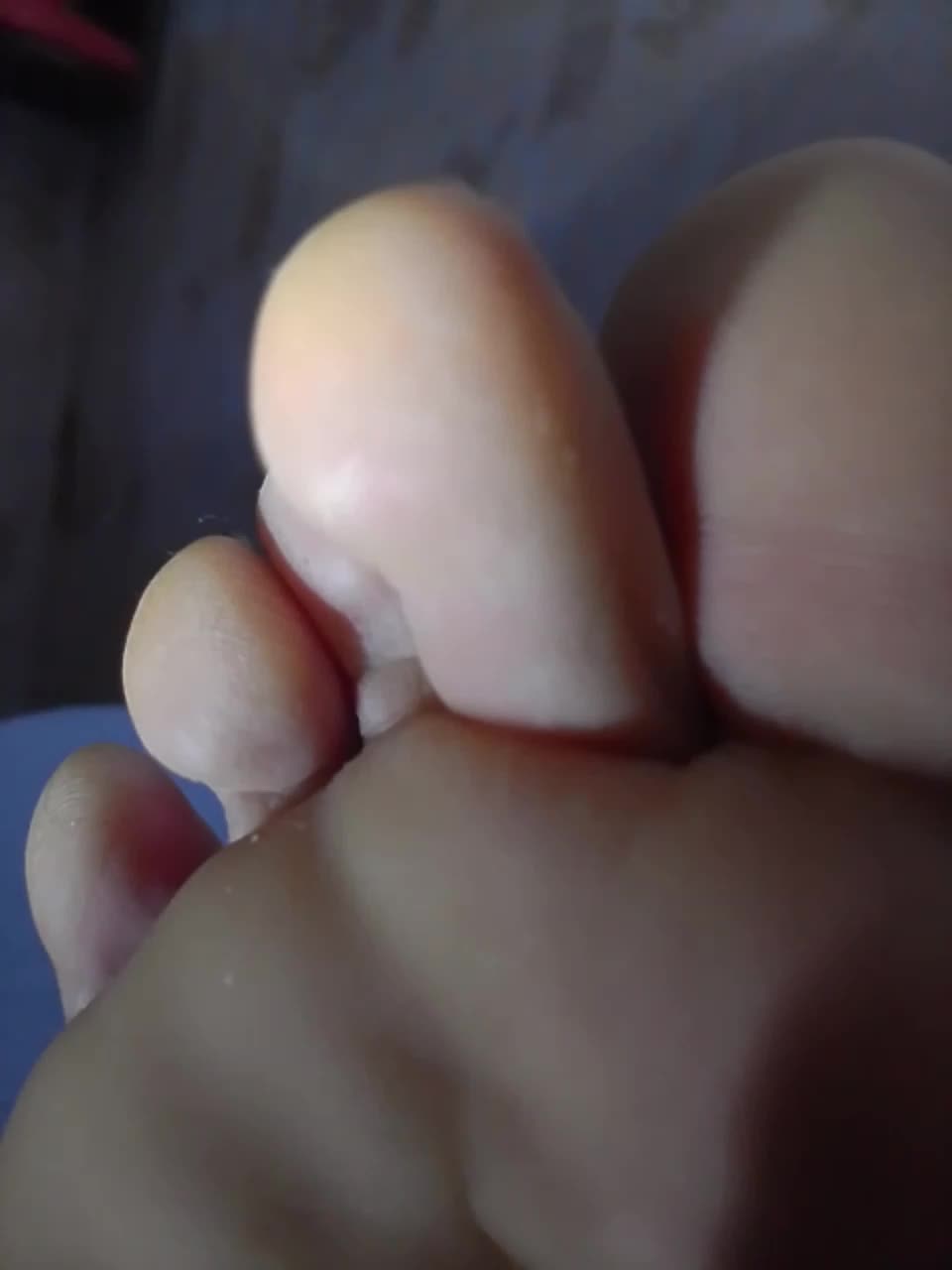 ReversoContex Приват Записи 2026-02-17