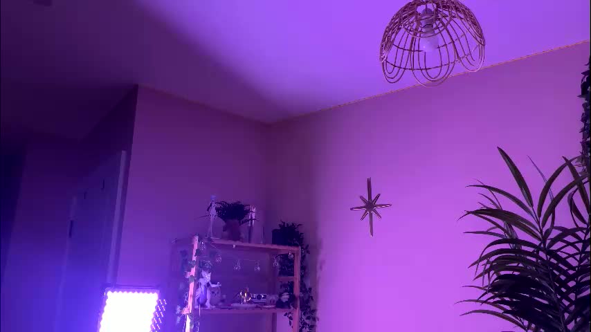 vixenp Приват Записи 2026-02-18