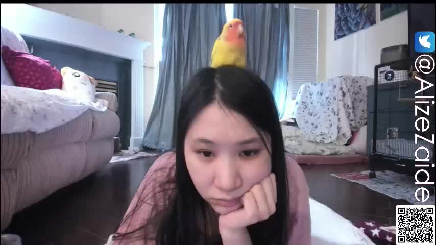 alizezaide Приват Записи 2026-02-18