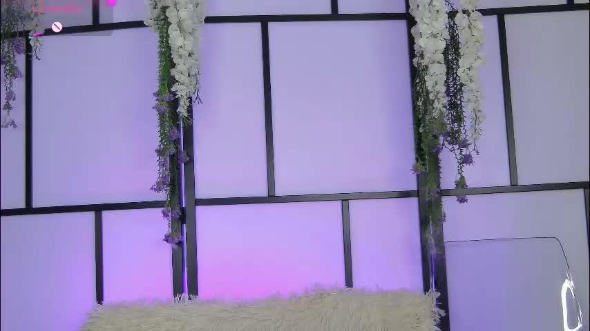 xenomy Приват Записи 2026-02-19