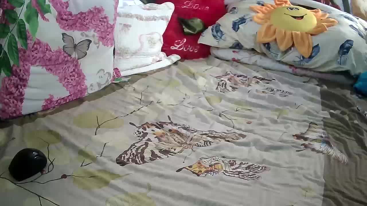 Aktriska Приват Записи 2026-02-19