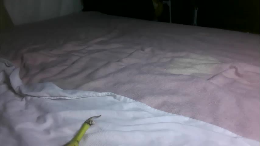 babe_singer_undercover Приват Записи 2026-02-19