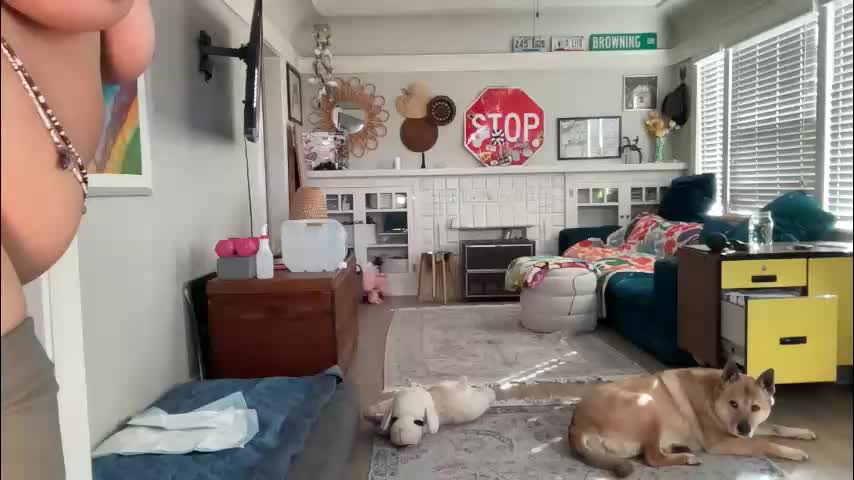 dreamyriri Приват Записи 2026-02-19