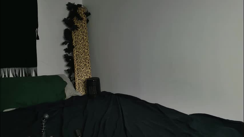 jackdesfeux Приват Записи 2026-02-19