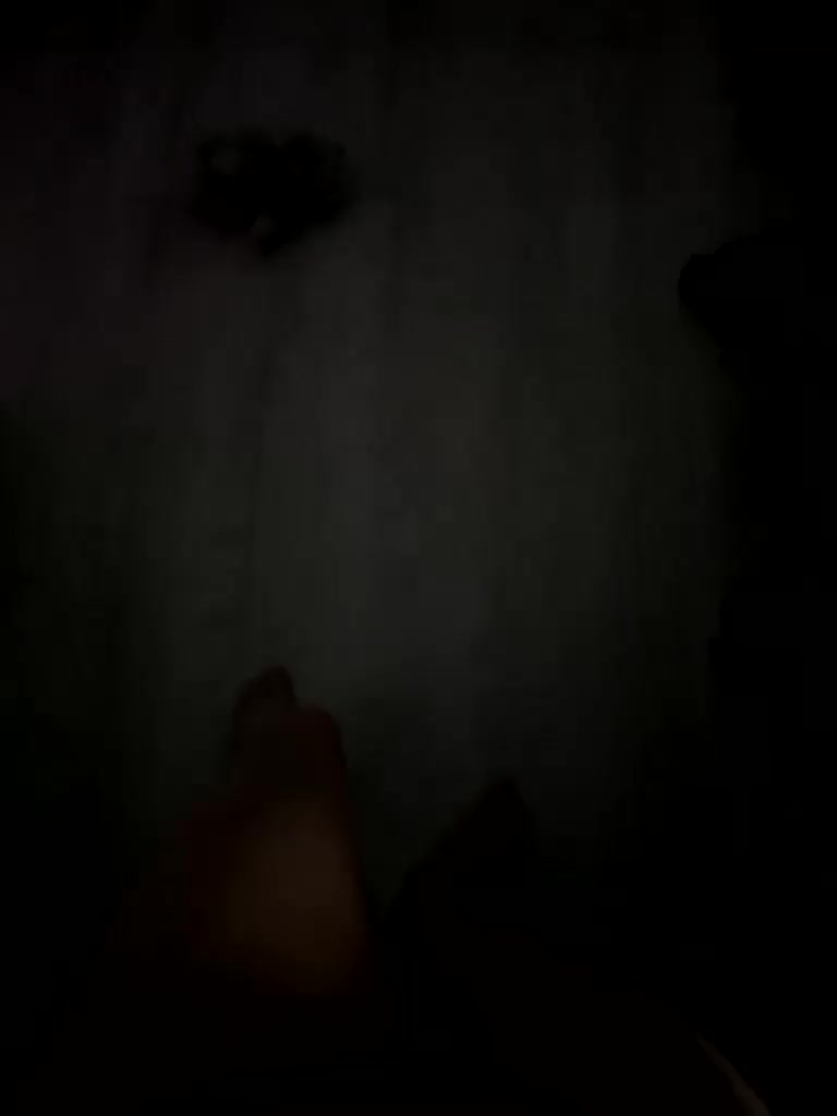 Ariel-la Приват Записи 2026-02-20