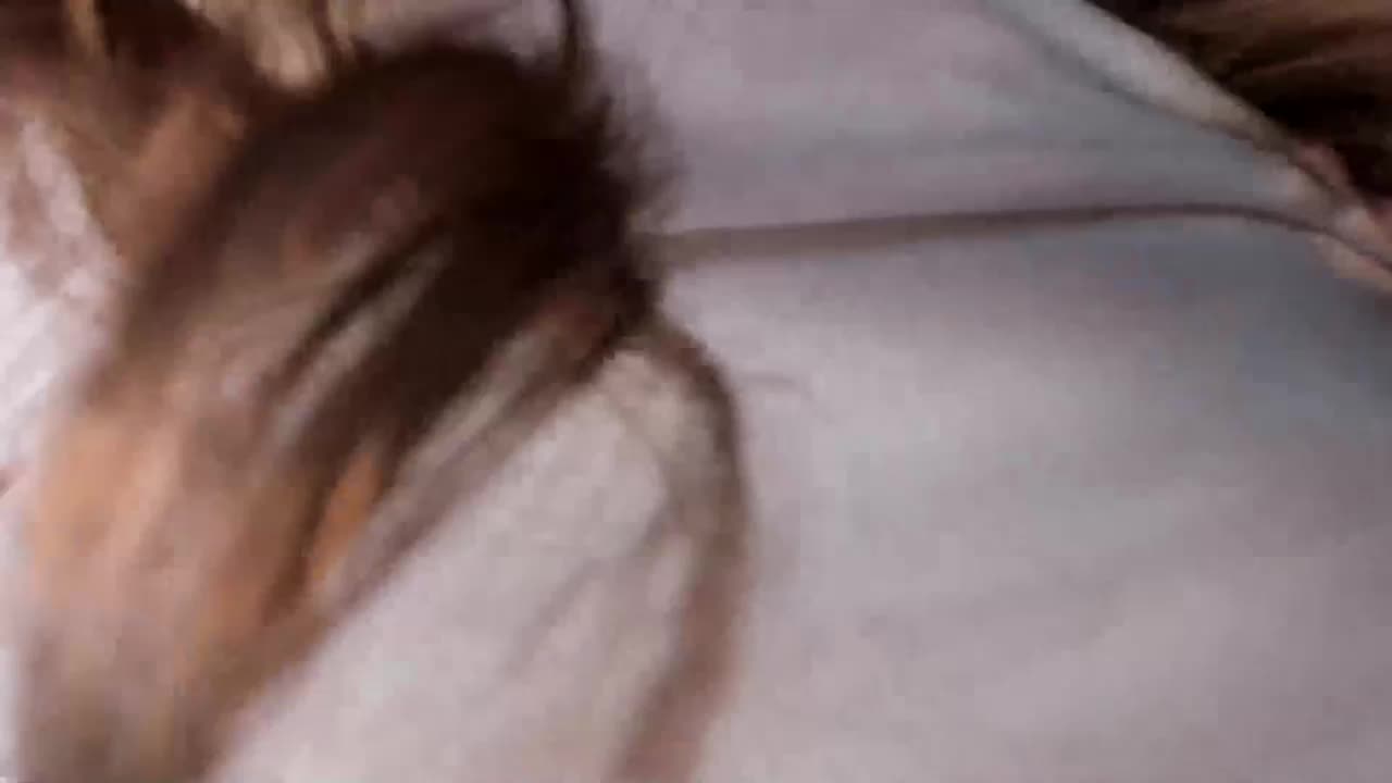 mnepohuyy Приват Записи 2026-02-20