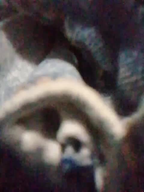 Nika0000 Приват Записи 2026-02-20