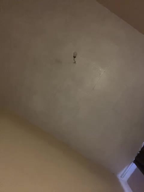 ALYA-01 Приват Записи 2026-02-20