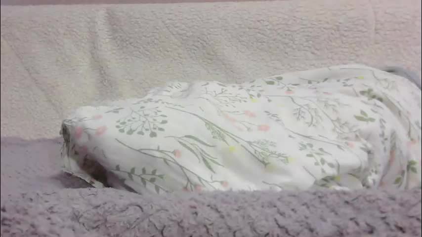 lenorrr Приват Записи 2026-02-21