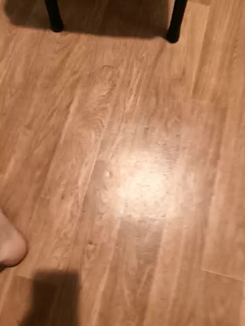 Nelonia Приват Записи 2026-02-21