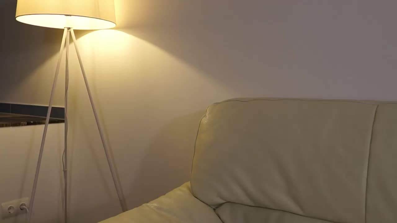 DiamondLily Приват Записи 2026-02-21