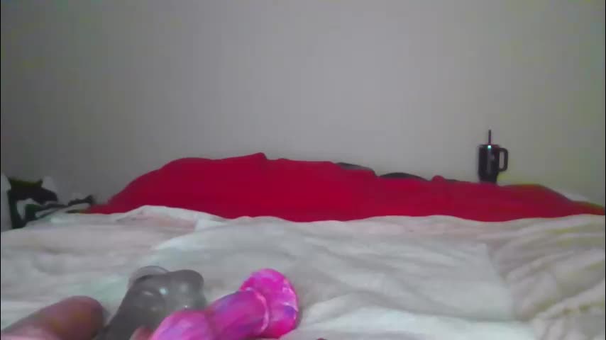 sdbeachfreaks Приват Записи 2026-02-21