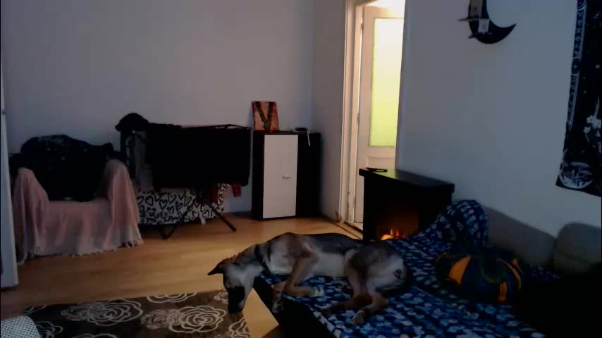 aliens4twenty Приват Записи 2026-02-21