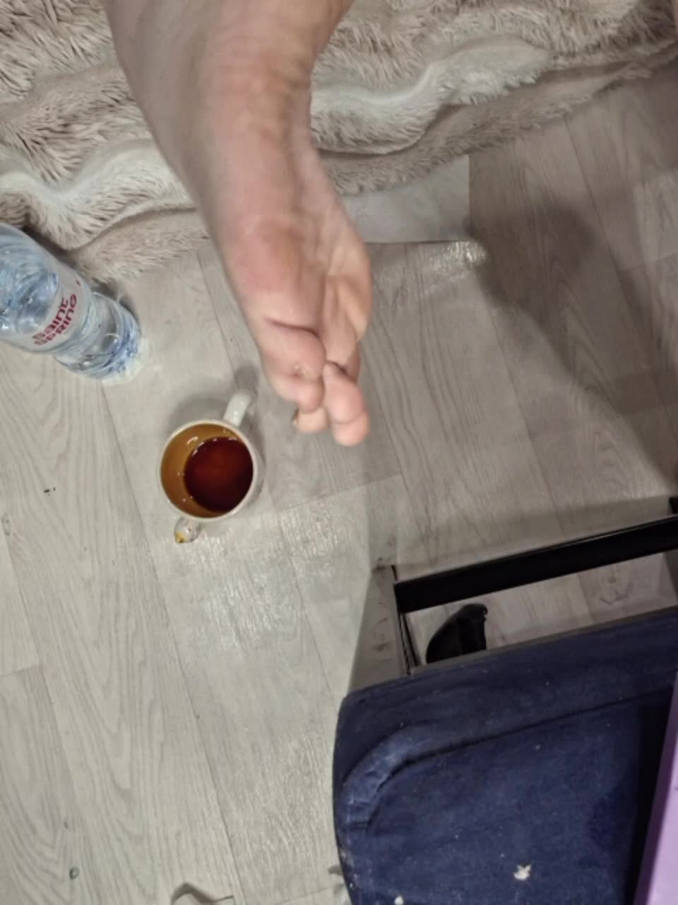 -scyrim- Приват Записи 2026-02-23