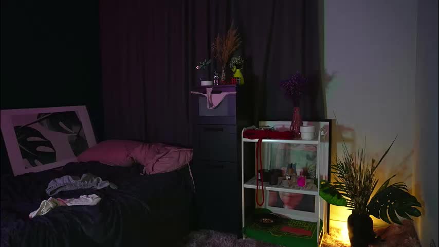 blissence Приват Записи 2026-02-23