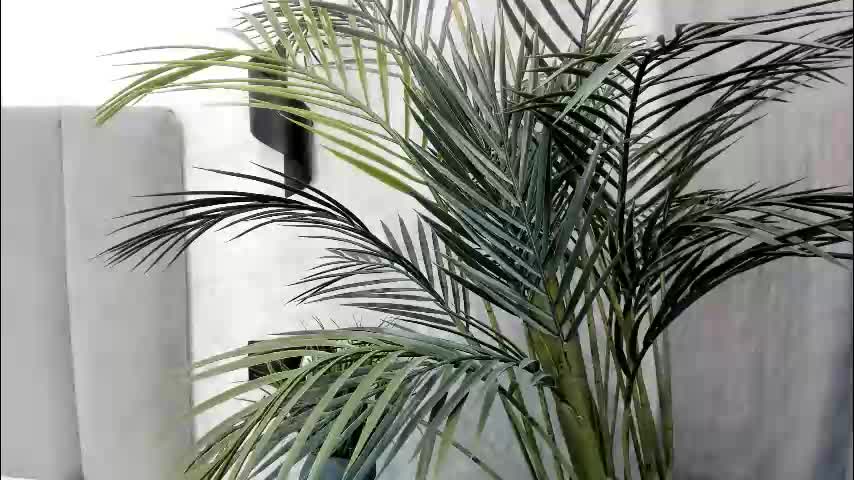 ultima_ma18 Приват Записи 2026-02-23