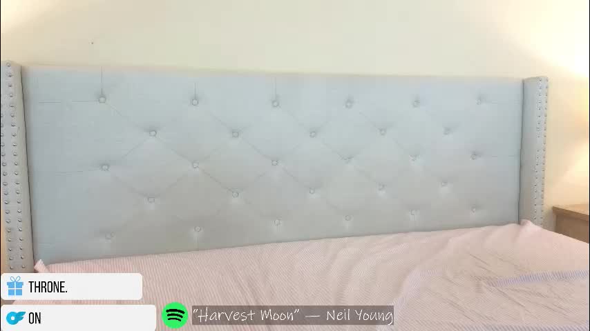 catberg Приват Записи 2026-02-24