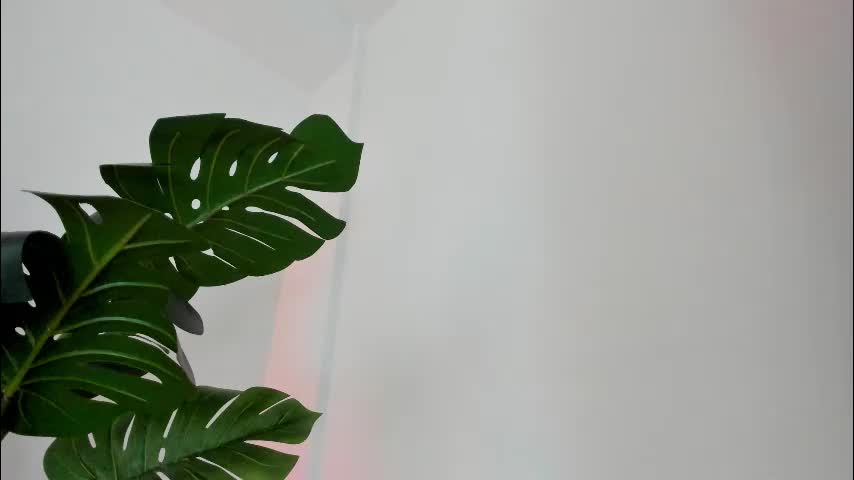 ashllovee_ Приват Записи 2026-02-24