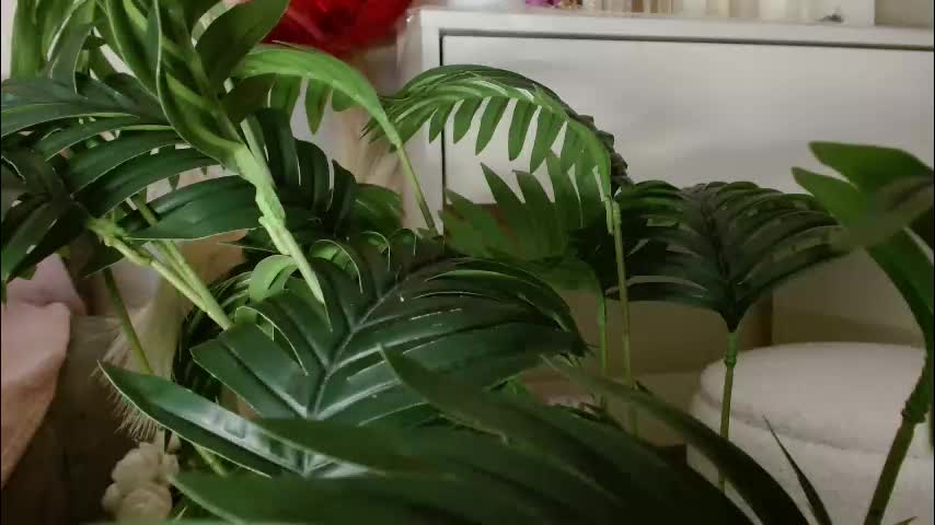 imcarrieberry Приват Записи 2026-02-25