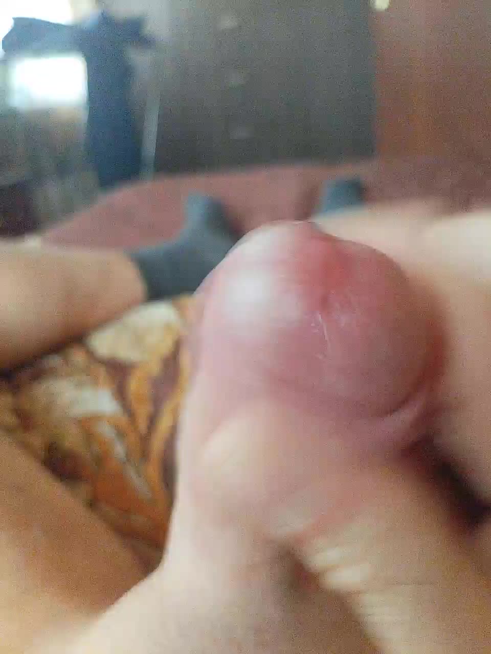 Paradise_1 Приват Записи 2026-02-25