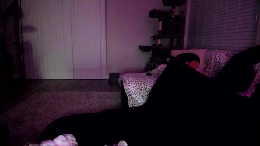 bbshasta Приват Записи 2026-02-25