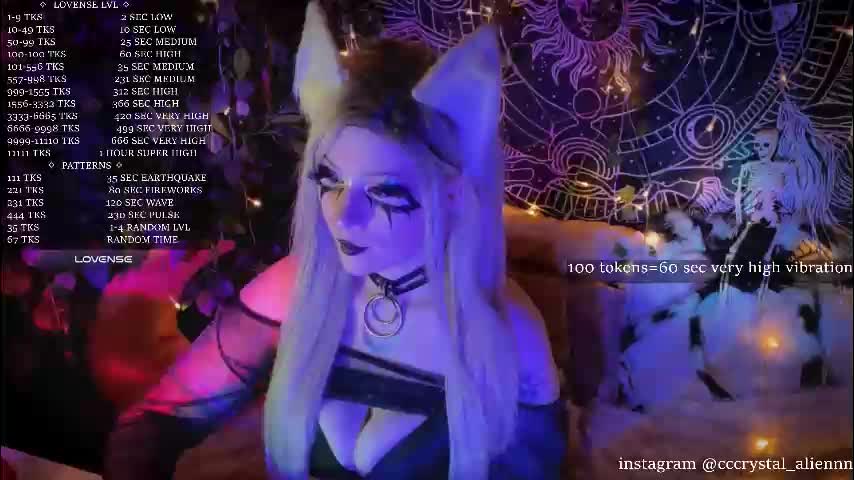 mirareed Приват Записи 2026-02-25