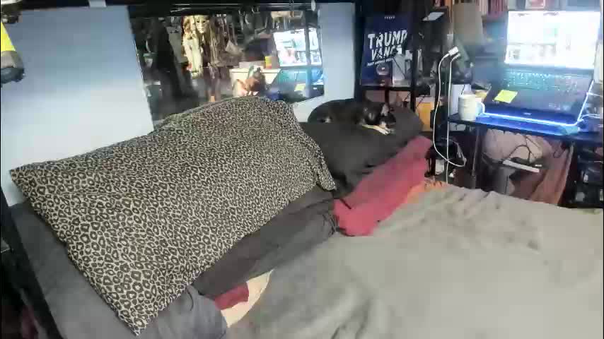 pink_black Приват Записи 2026-02-25