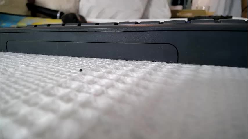 roseevansx Приват Записи 2026-02-26