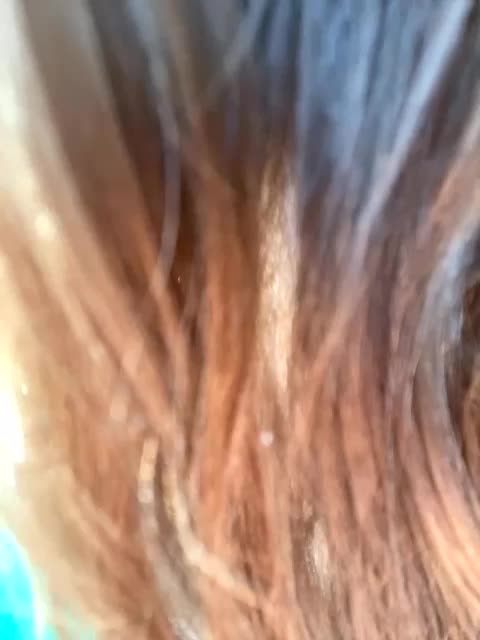 Bonne-Aurore Приват Записи 2026-02-26