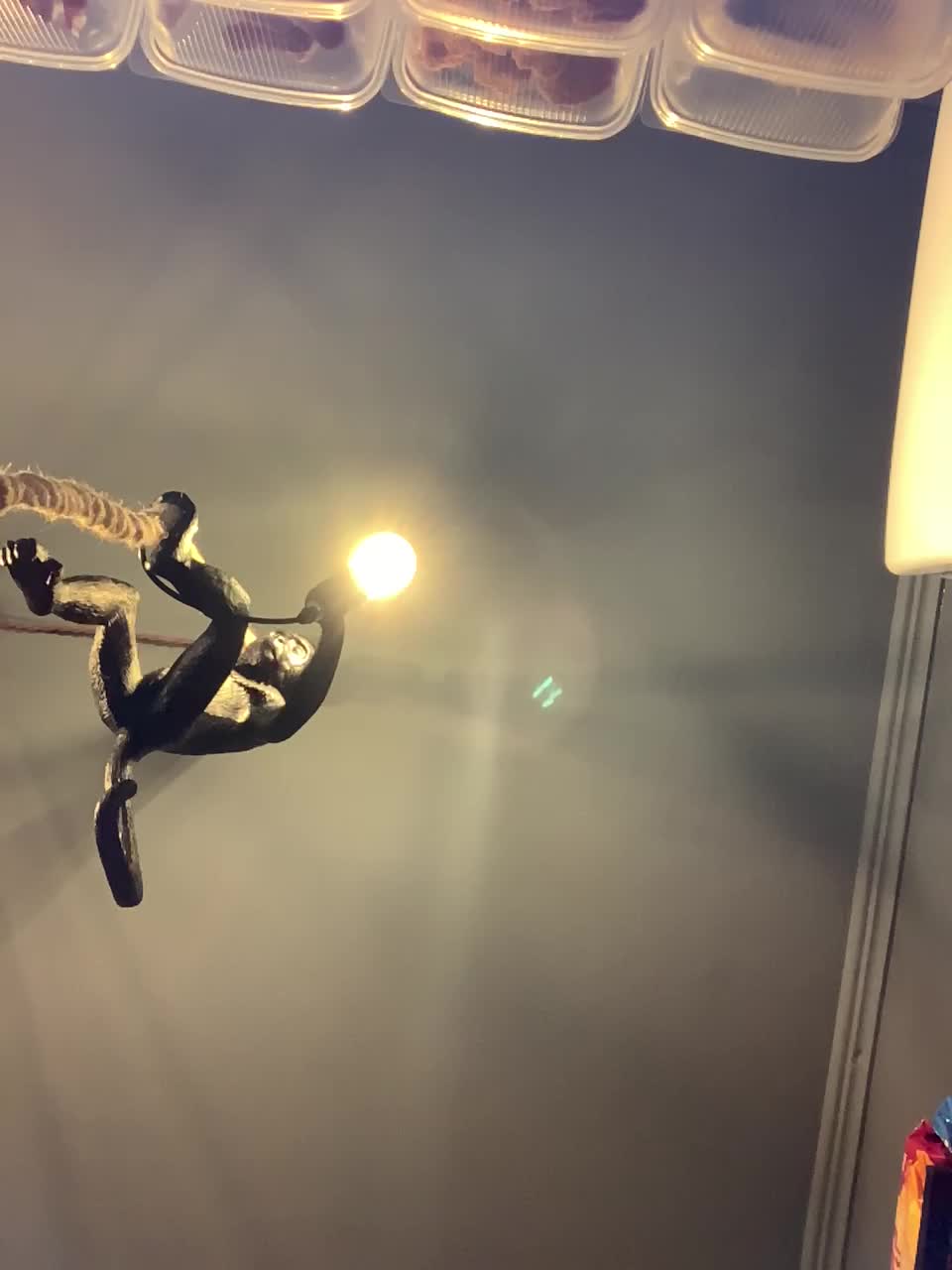 Yummypopka Приват Записи 2026-02-26