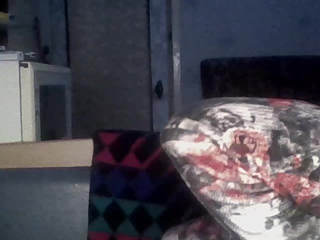 Success100 Приват Записи 2026-02-26