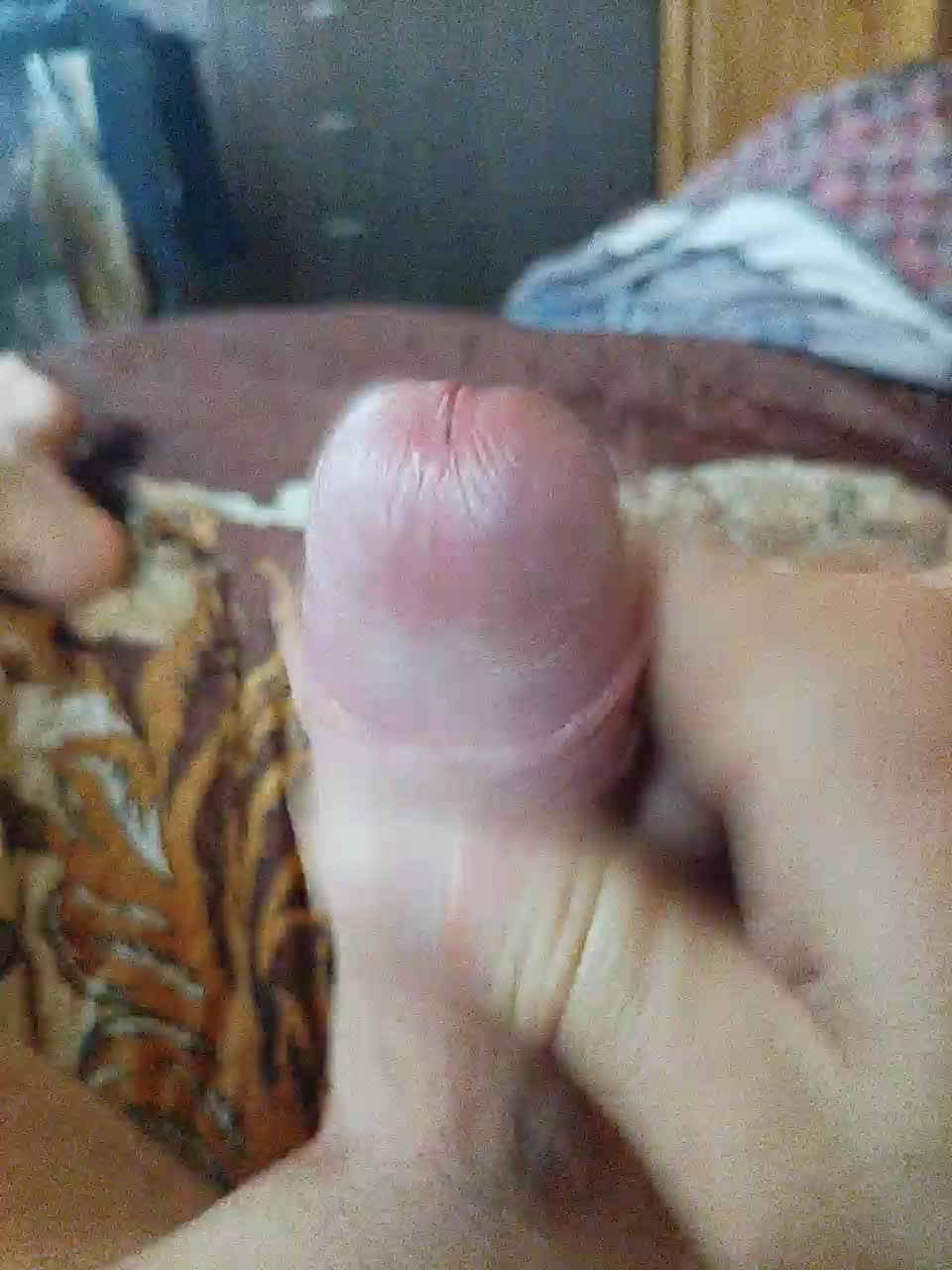 Paradise_1 Приват Записи 2026-02-26