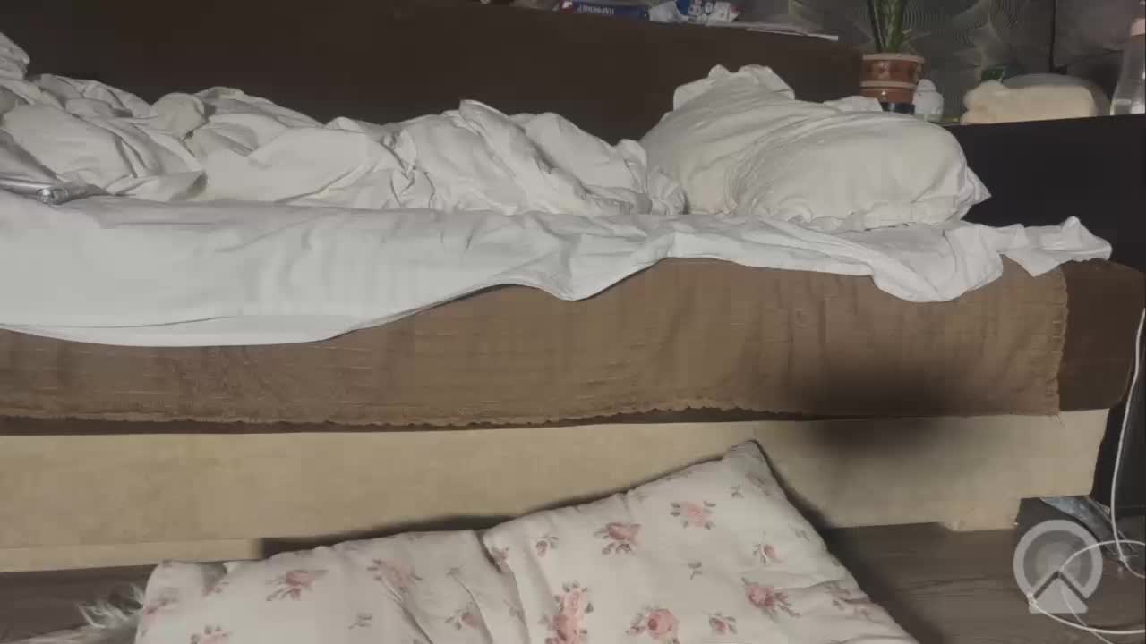 Lalala___ Приват Записи 2026-02-27