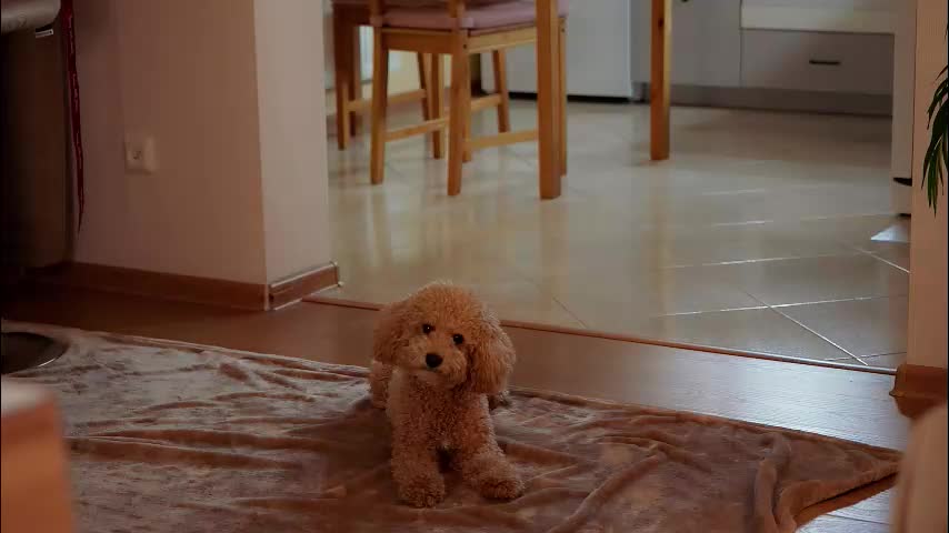 juliacontrol Приват Записи 2026-02-28