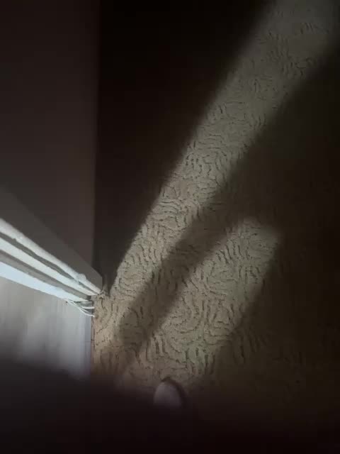 Chemezoff Приват Записи 2026-02-28