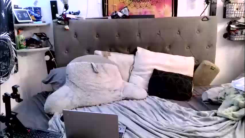 itscandibtch6969 Приват Записи 2026-03-01