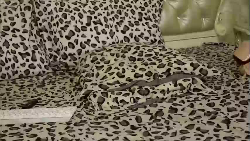 carmellaangel Приват Записи 2026-03-01