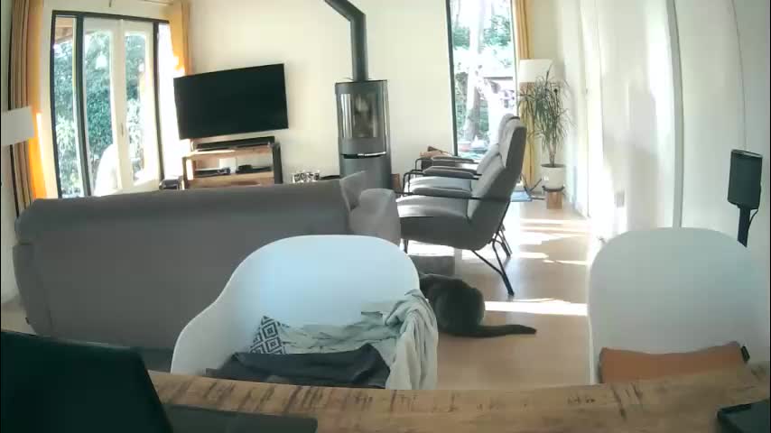 woodwurm Приват Записи 2026-03-02