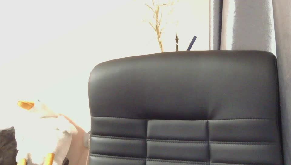 Ornotores_wers Приват Записи 2026-03-02