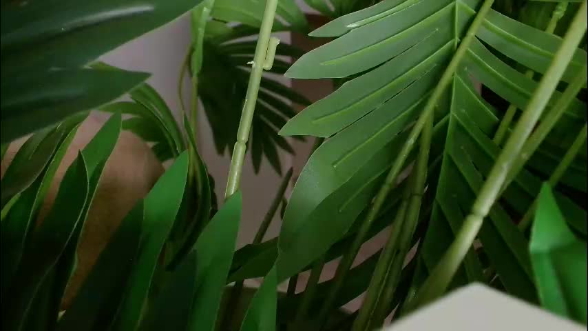 imcarrieberry Приват Записи 2026-03-03