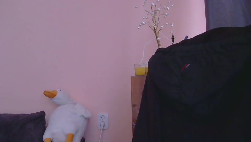 Ornotores_wers Приват Записи 2026-03-03