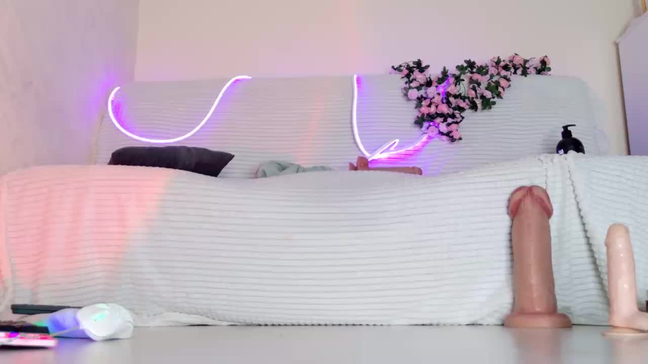 Amellika Приват Записи 2026-03-03