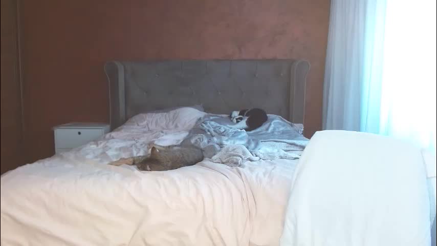 mishakiss34 Приват Записи 2026-03-03