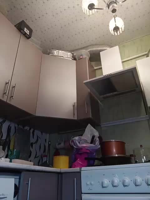 Mybulochka Приват Записи 2026-03-04